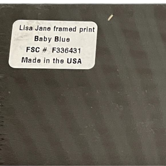LISA Jane framed print,”Baby Blue”,still wrapped in original plastic,made in USA - Picture 4 of 4